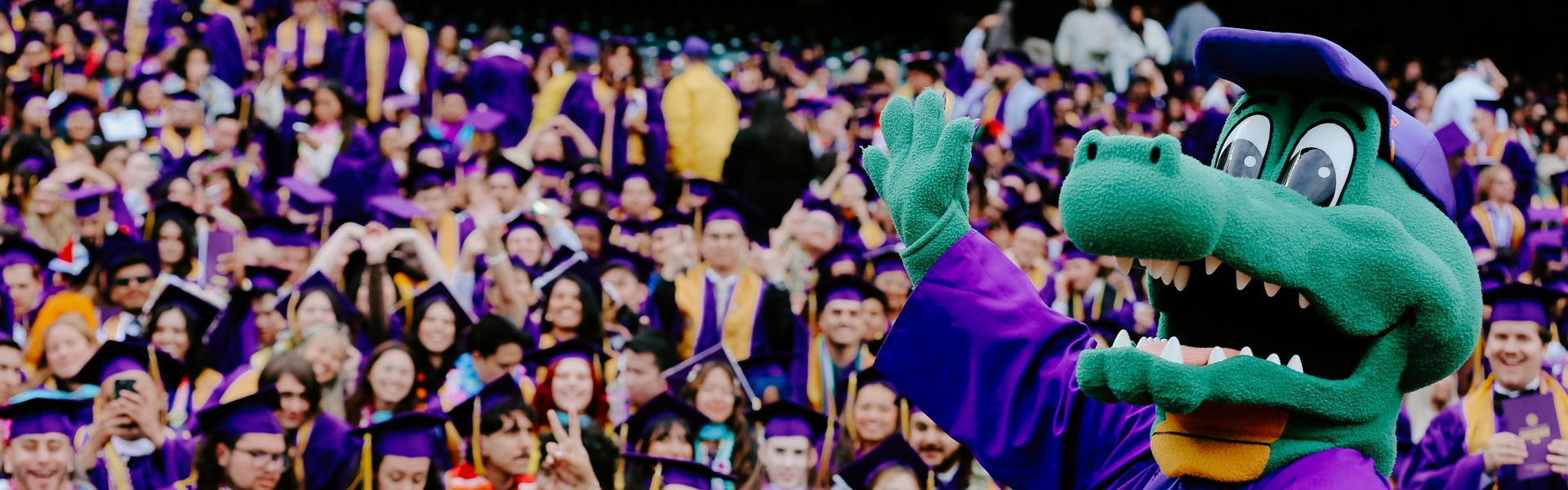 Mascot Alli in the foreground and graduates in the background during commencement